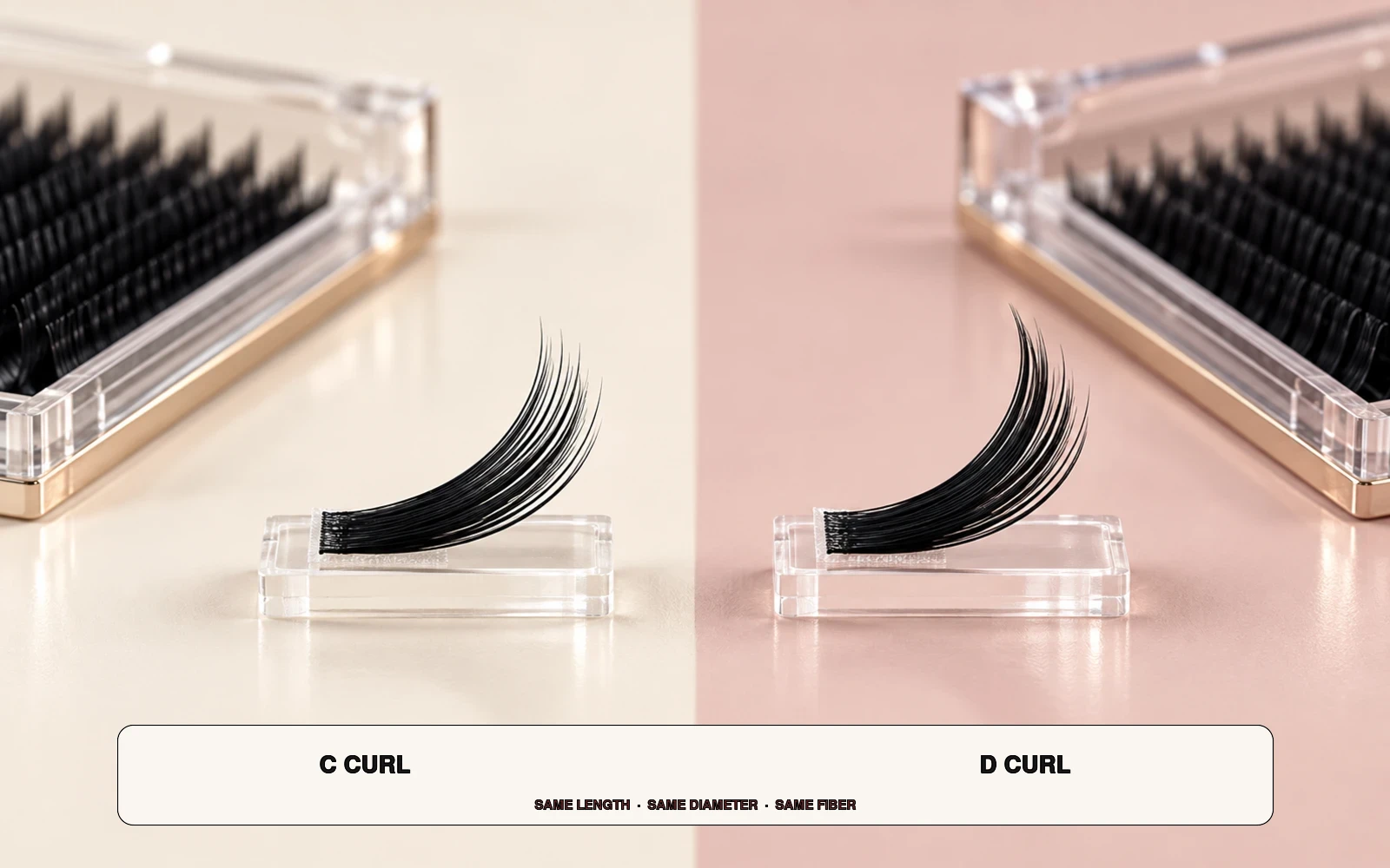 Studio side-by-side comparison of C curl and D curl eyelash extension fiber samples